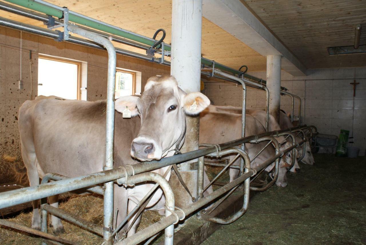 Singerhof Agroturismo Fulpmes