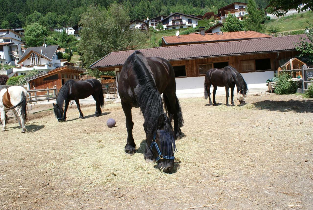 Agroturismo Singerhof Fulpmes